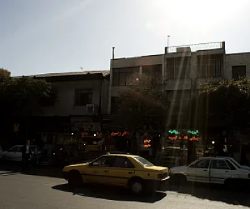 گیاهان دارویی