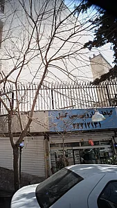 گیاهان دارویی سی گل