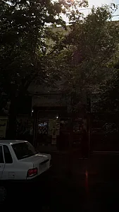 گیاهان دارویی
