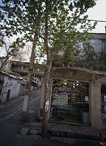عطاری دارالشفاء