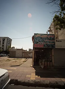 گیاهان دارویی گشنیز