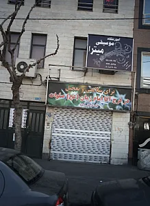 گیاه درمانی ایلیا