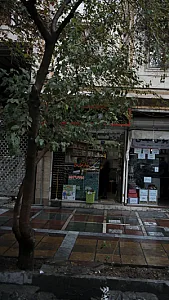 بهارنارنج