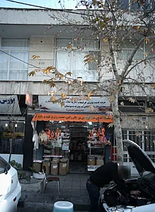 گیاهان درمانی نسترن