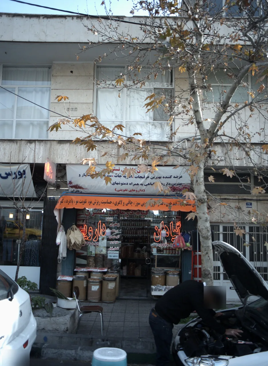 گیاهان درمانی نسترن