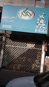 گیاهان دارویی گلزار