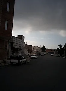 گیاهان دارویی شفا بخش