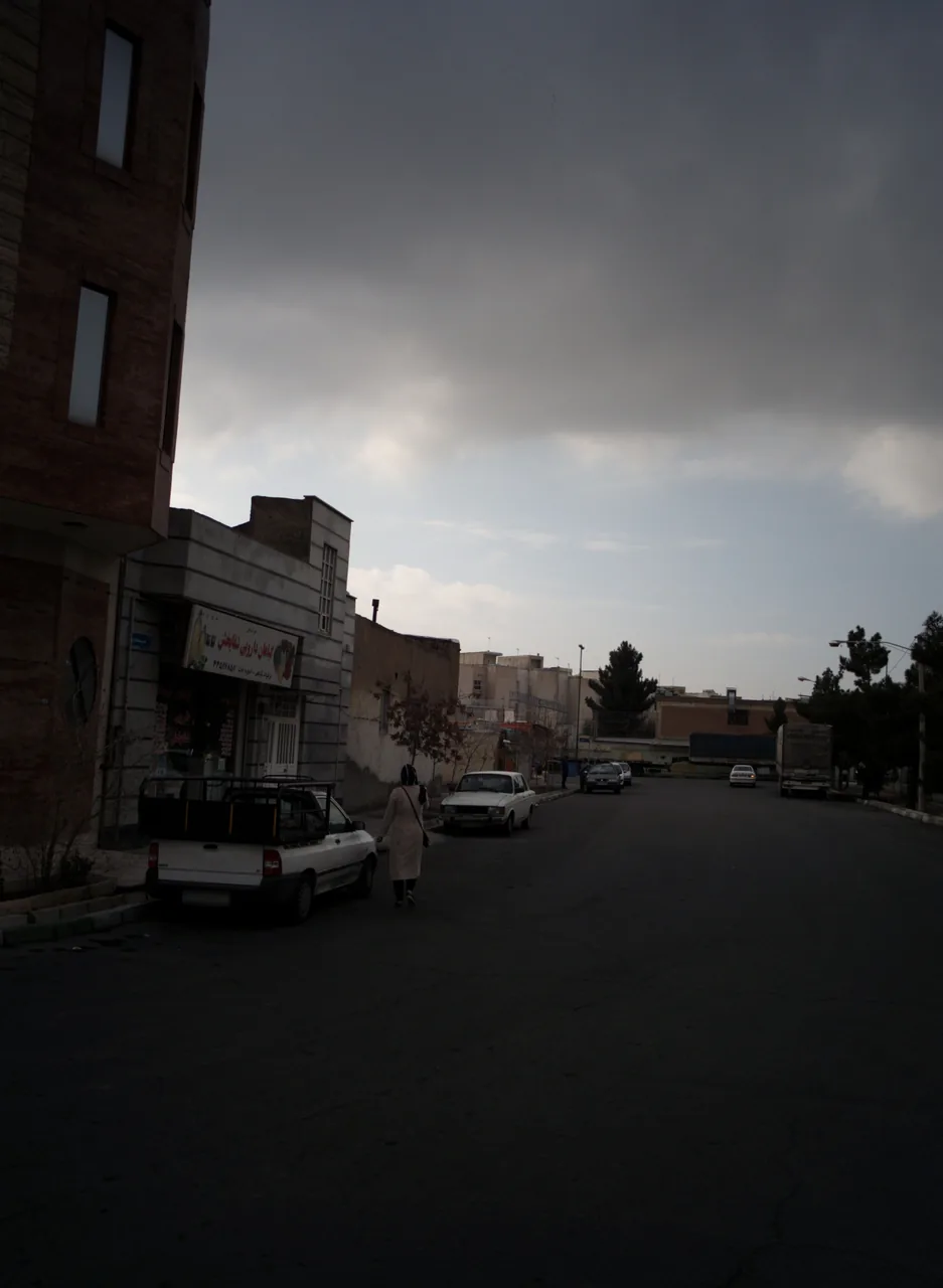 گیاهان دارویی شفا بخش
