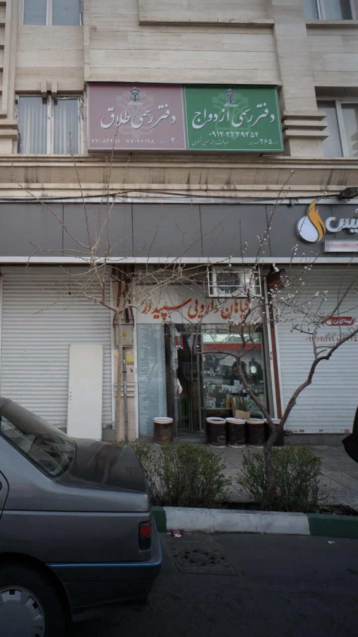 گیاهان دروئی سپیدار - تصویر 2