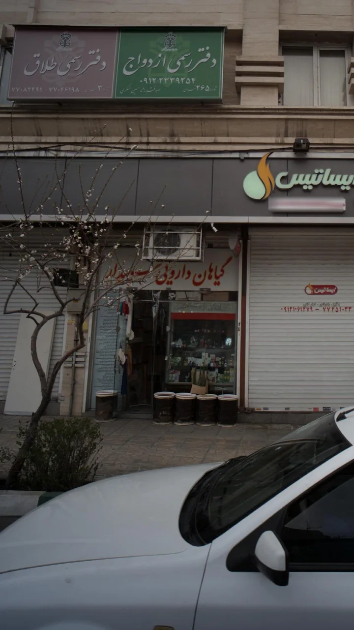 گیاهان دروئی سپیدار - تصویر 3