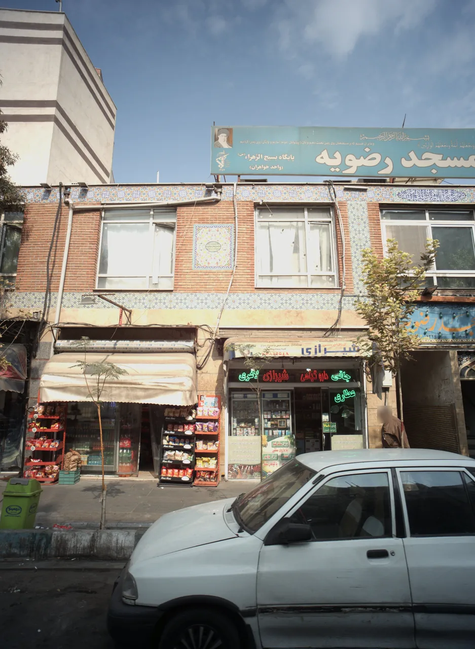 گیاهان سنتی شیرازی
