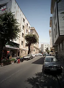 عطاری سید