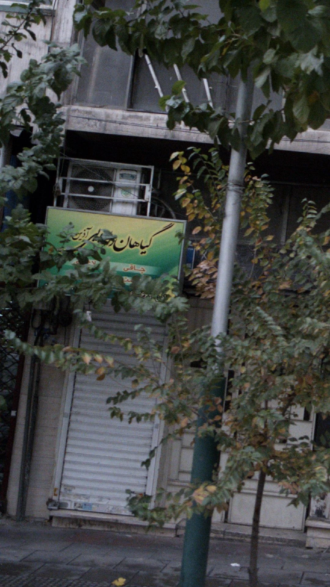 عطاری آذین - تصویر 2