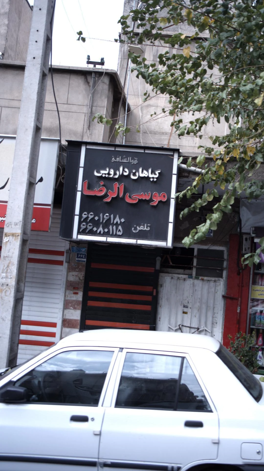 عطاری حکیم - طب سنتی و عطاری در تهران - تصویر 2
