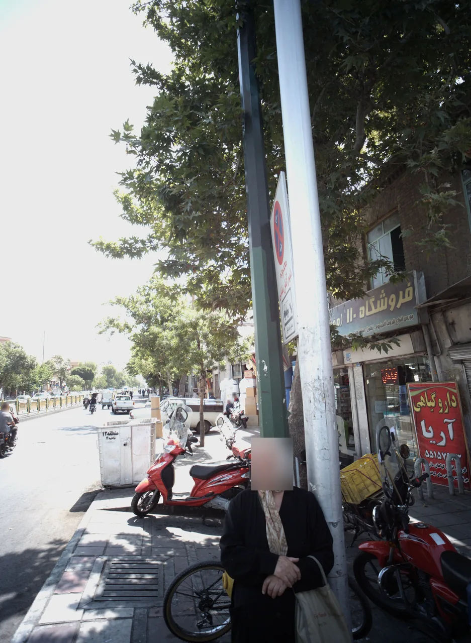 داروگیاهی آریا