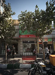 عطاری نیشابوری صدیقی