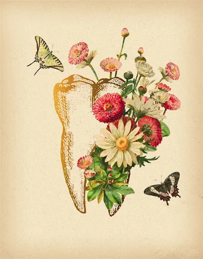 دندانپزشکی زیبایی دکتر رضاعی