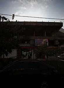گیاهان دارویی مهر