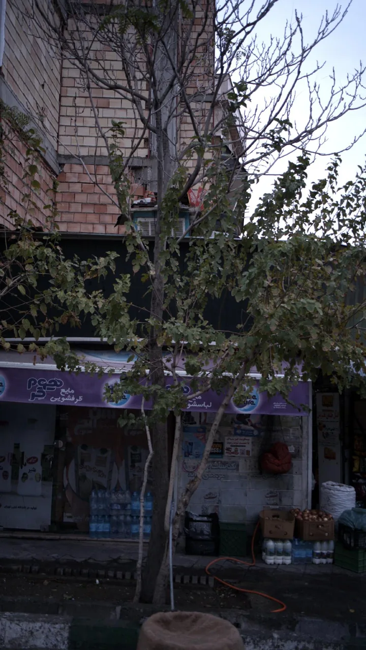 سوپرمارکت - تصویر 4