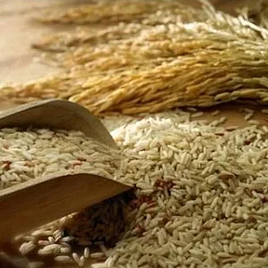 فروشگاه برنج