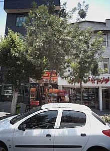 مینی سوپر سبلان