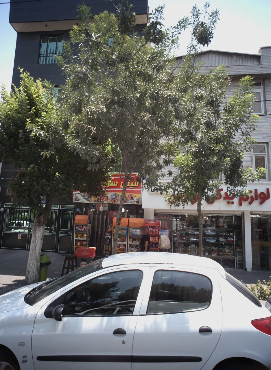 مینی سوپر سبلان