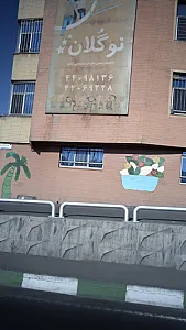 مهد کودک نو گلان