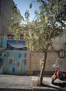 مهدکودک بوی گندم