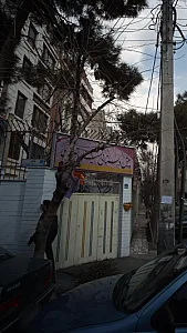 پیش دبستانی میلاد تهران