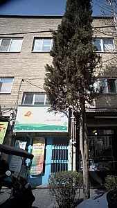 مهد قرآن و خانه کودک ضحی