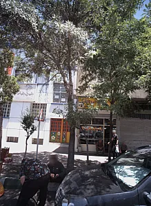 دبستان و پیش دبستانی غیر دولتی دخترانه شهید ابوالقاسم کشمیری