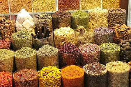 سلامت سرای مهر