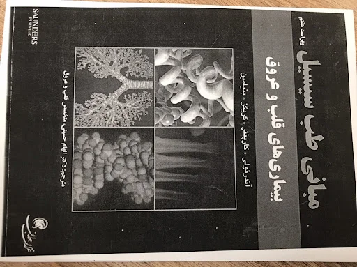 دکتر الهام حسینی