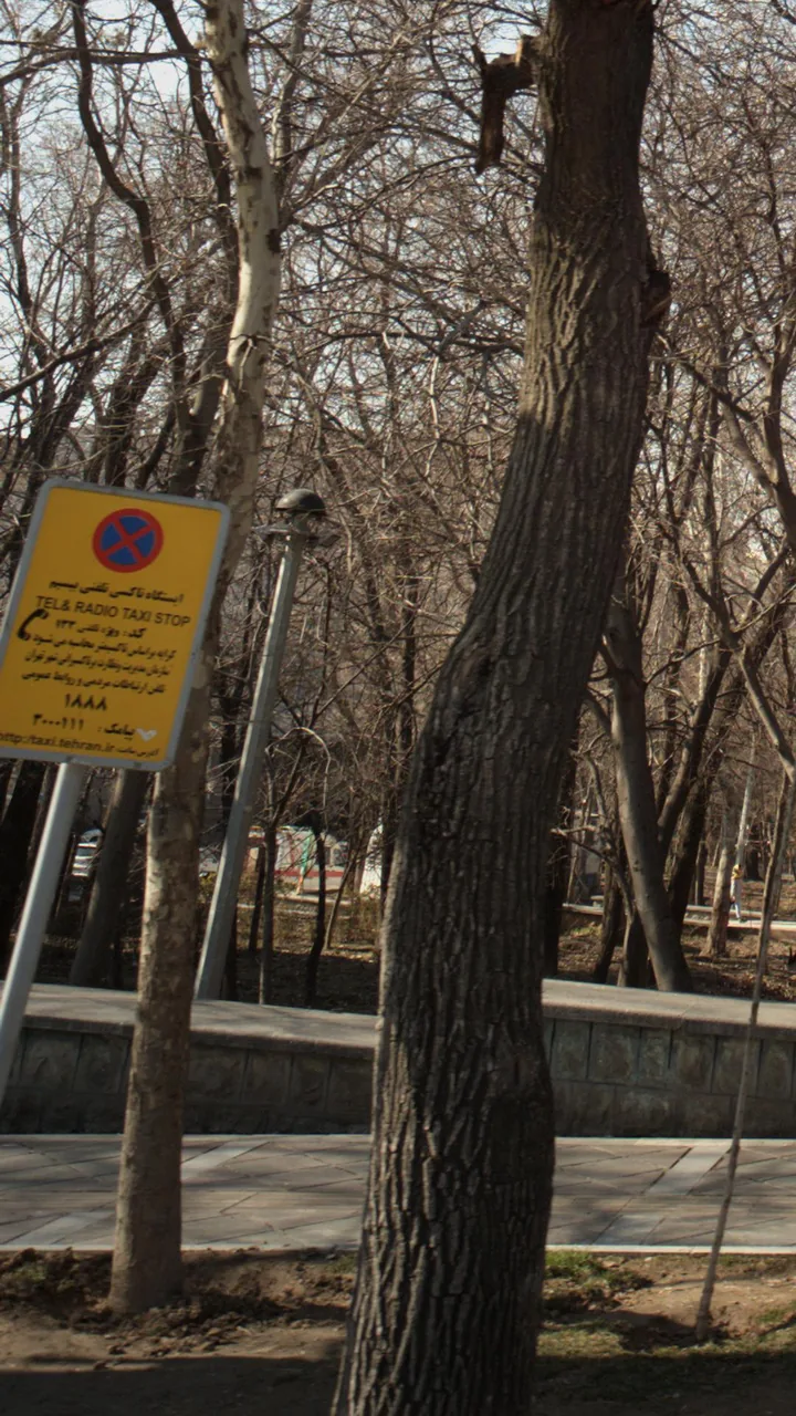 ایستگاه تاکسی - تصویر 5