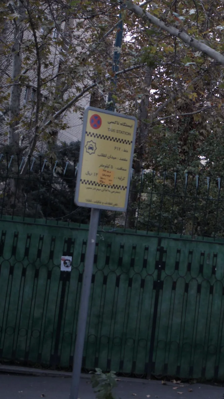 ایستگاه تاکسی میدان انقلاب - تصویر 2