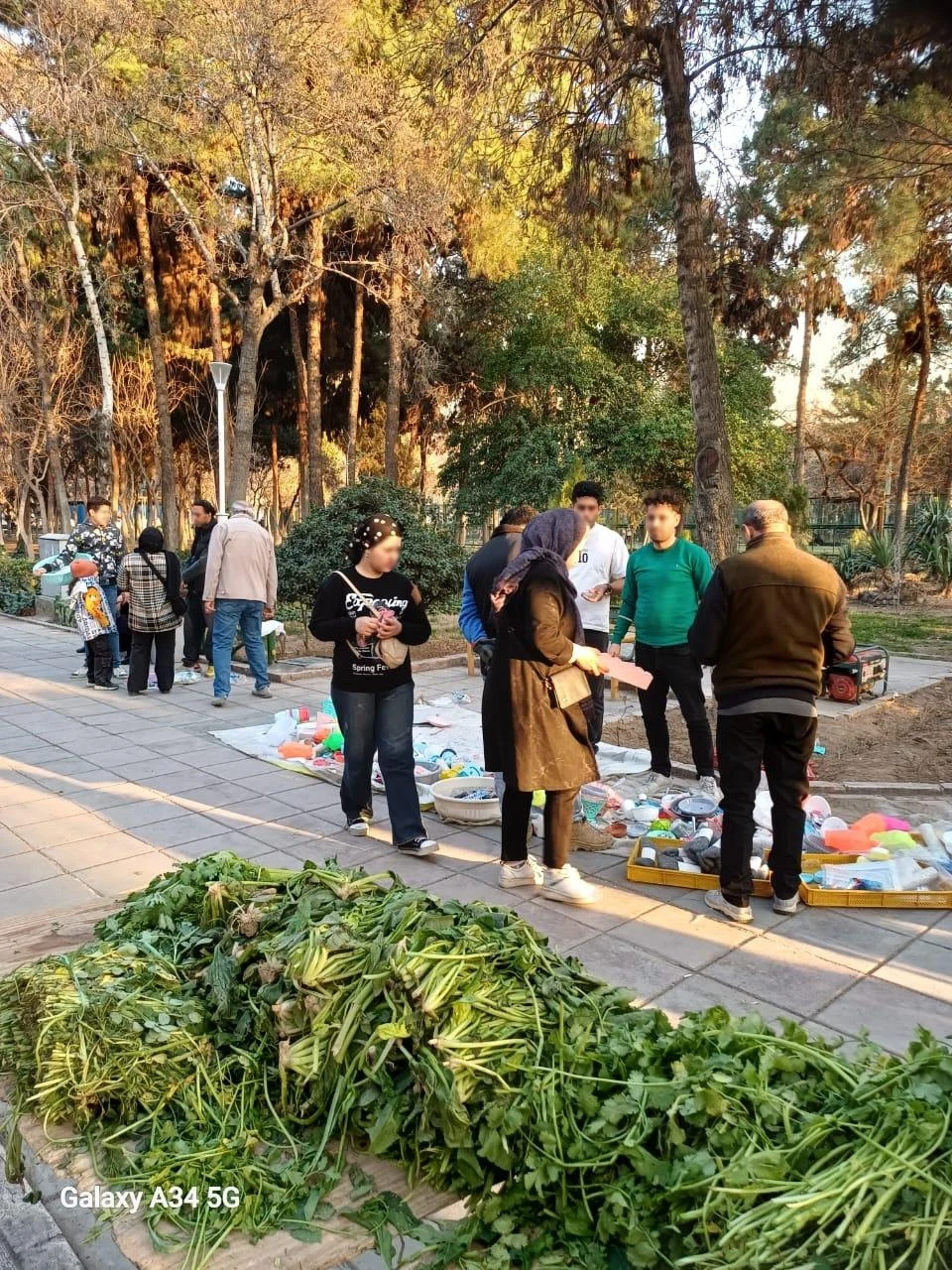 پایانه تاکسیرانی علی آباد - تصویر 2