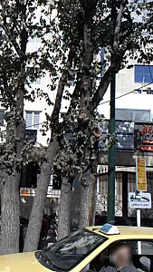 ایستگاه تاکسی