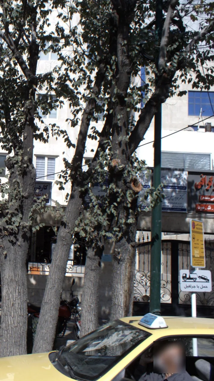 ایستگاه تاکسی