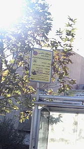 ایستگاه تاکسی