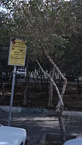 ایستگاه تاکسی