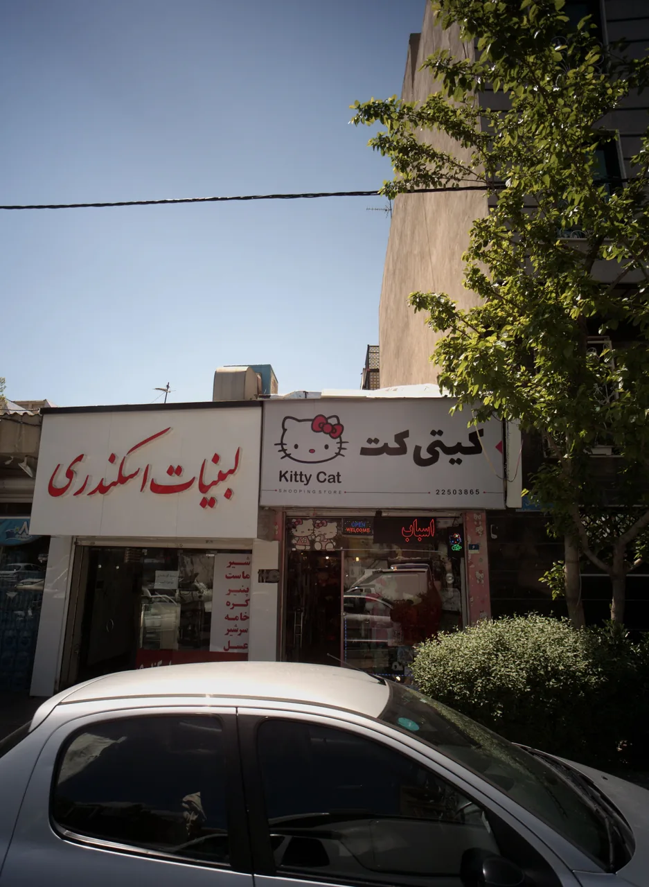 کیتی کت - تصویر 5