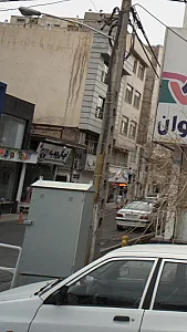نهال چوب