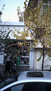 کوروش