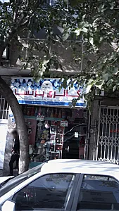 گالری پرنسا