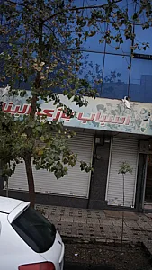 اسباب بازی الینا