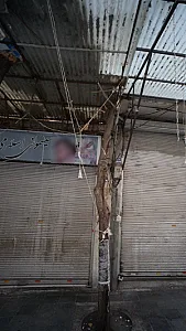 سیسمونی اسلامی