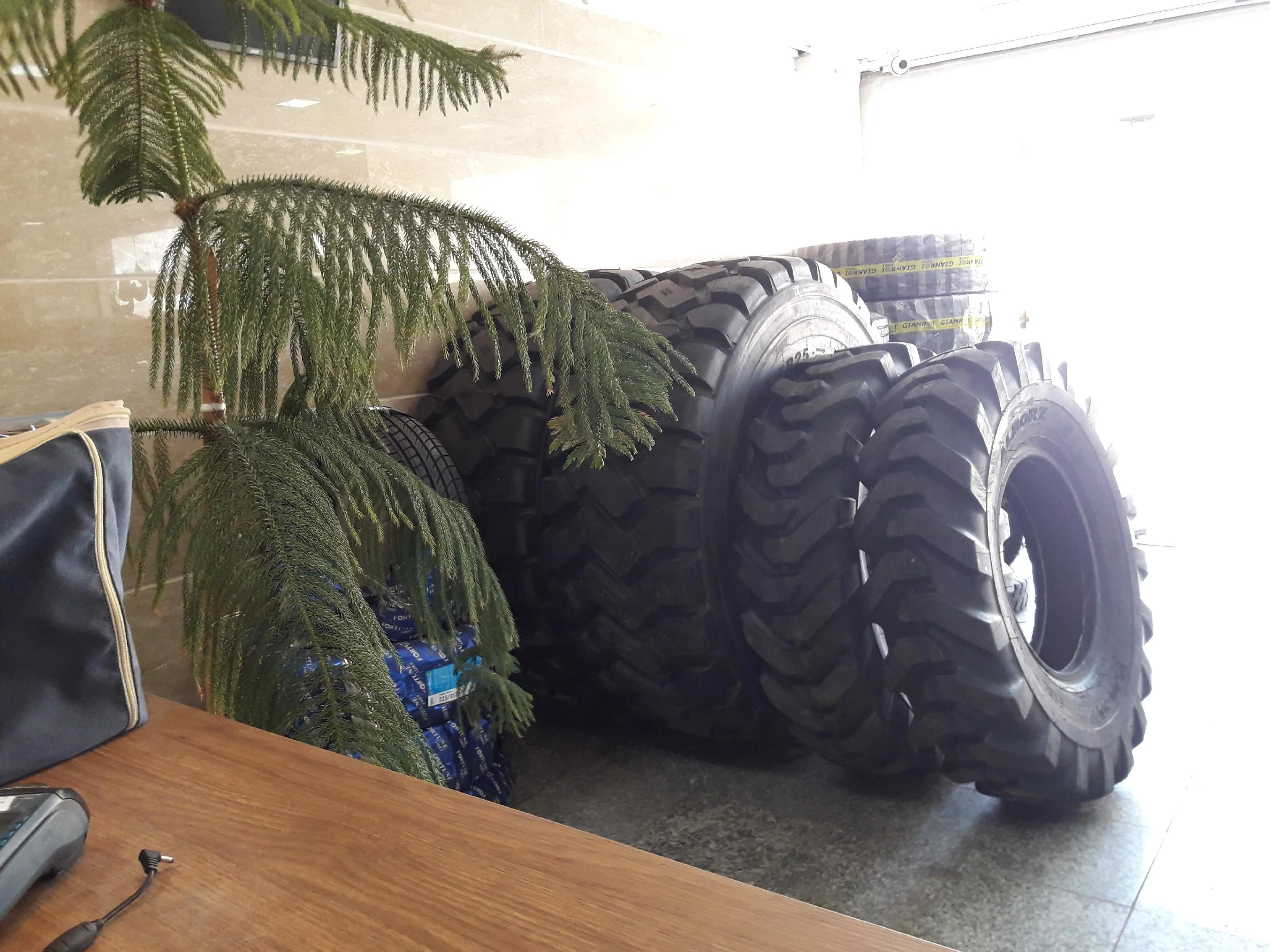 لاستیک شهودی