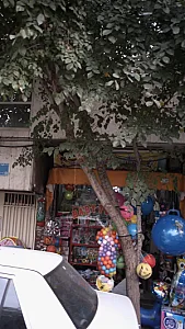 اسباب بازی فروشی