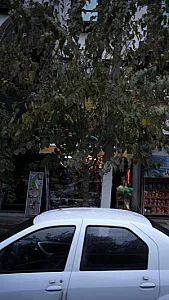 اسباب بازی فروشی