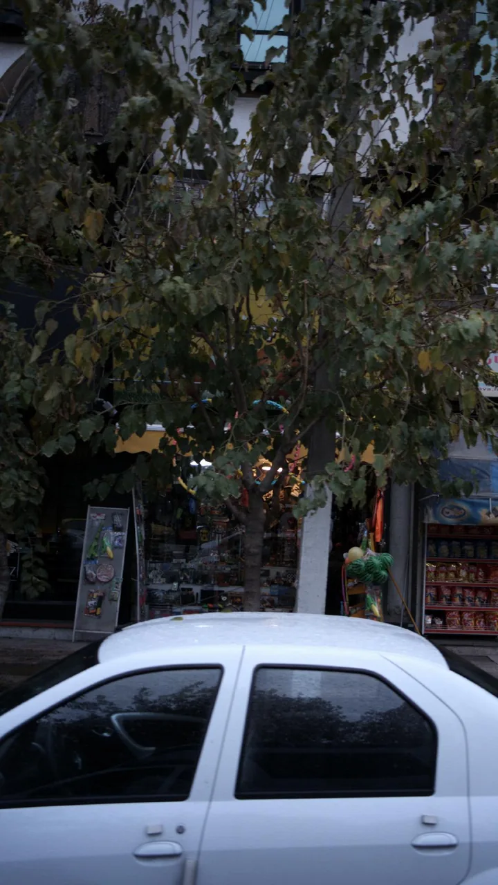 اسباب بازی فروشی